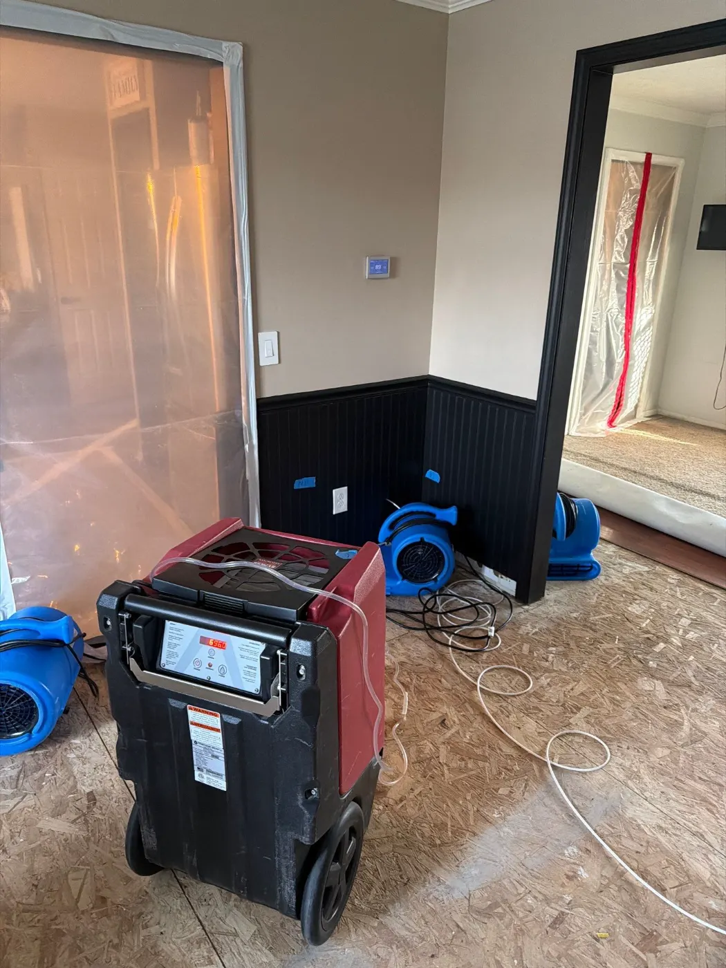 Thermal imaging during water damage assessment in Alexandria residence